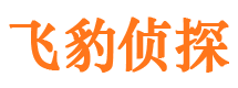 德昌市侦探调查公司